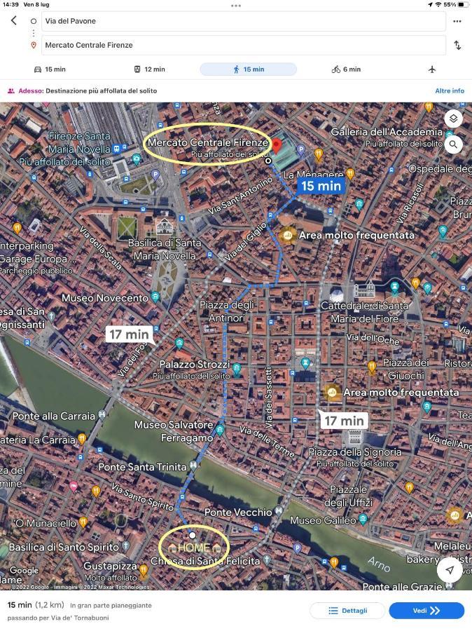 Uffizi & Santo Spirito Family/Groups Apartment フィレンツェ エクステリア 写真