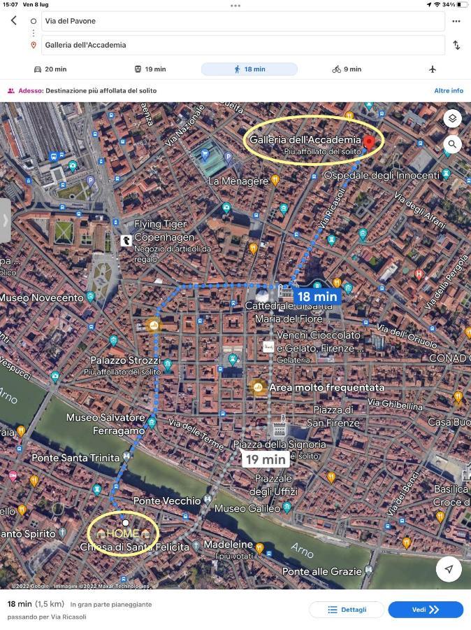 Uffizi & Santo Spirito Family/Groups Apartment フィレンツェ エクステリア 写真