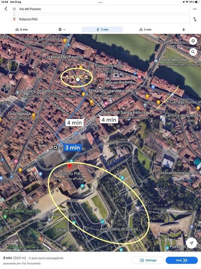 Uffizi & Santo Spirito Family/Groups Apartment フィレンツェ エクステリア 写真